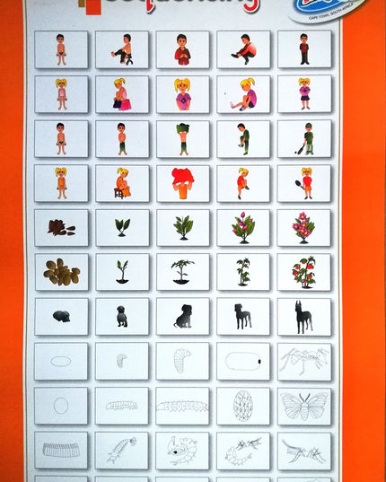 Poster - Sequencing Edunation South Africa Posters and Charts