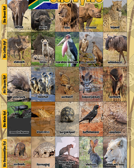 Ons Vywe A3 Poster