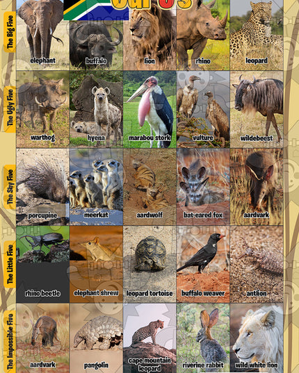 Our 5's A3 Poster