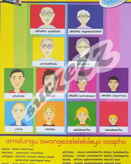 Poster - Amalungu Usapho (My Family Members) - Xhosa