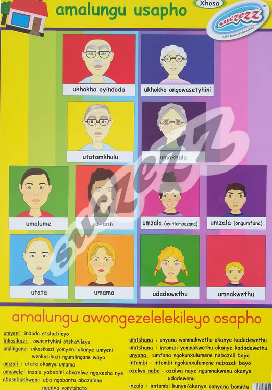Poster - Amalungu Usapho (My Family Members) - Xhosa