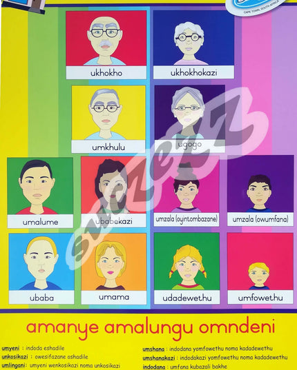 Poster - Amalungu Omndeni Wami (My Family Members) - Zulu
