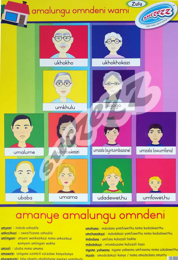 Poster - Amalungu Omndeni Wami (My Family Members) - Zulu