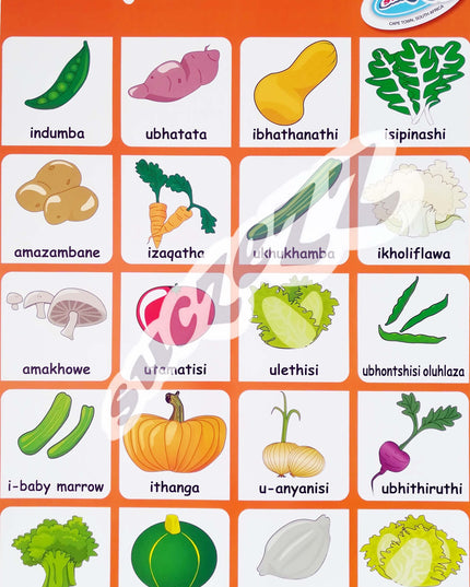 Poster - Amaveji (Vegetables) - Zulu