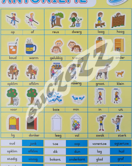 Muurkaart - Antonieme