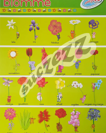 Muurkaart - Blomme