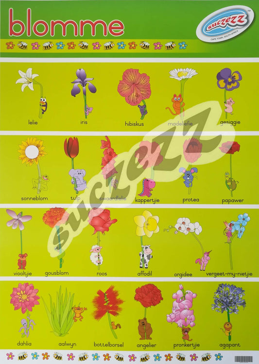 Muurkaart - Blomme