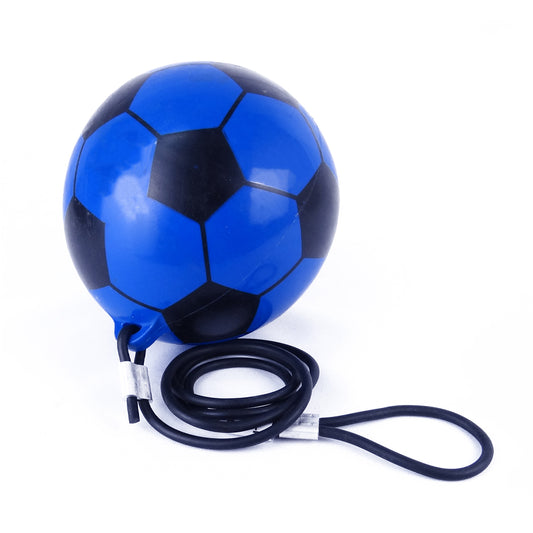 Ball Plastic - Big - Spring Long