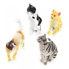 Cats and Dogs -  Medium - Edunation South Africa