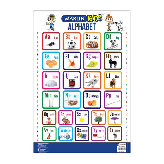 Chart - Alphabet