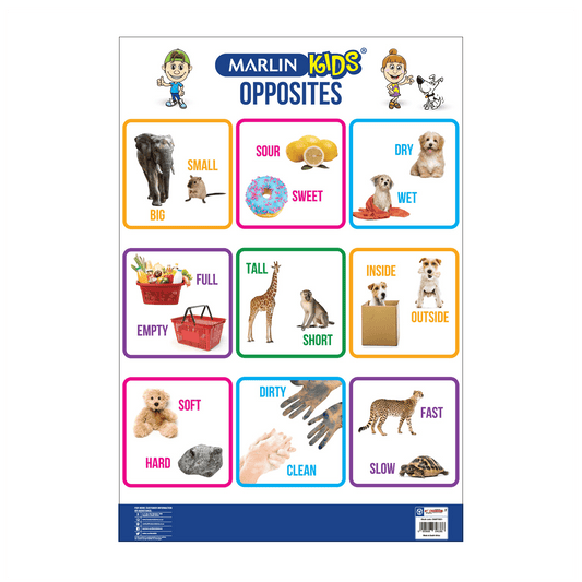 Chart - Opposites