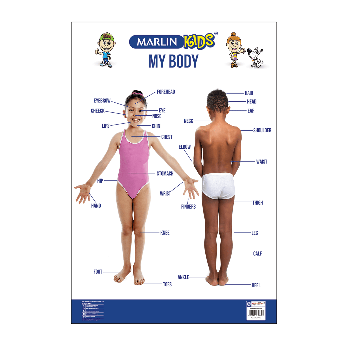 Chart - My Body