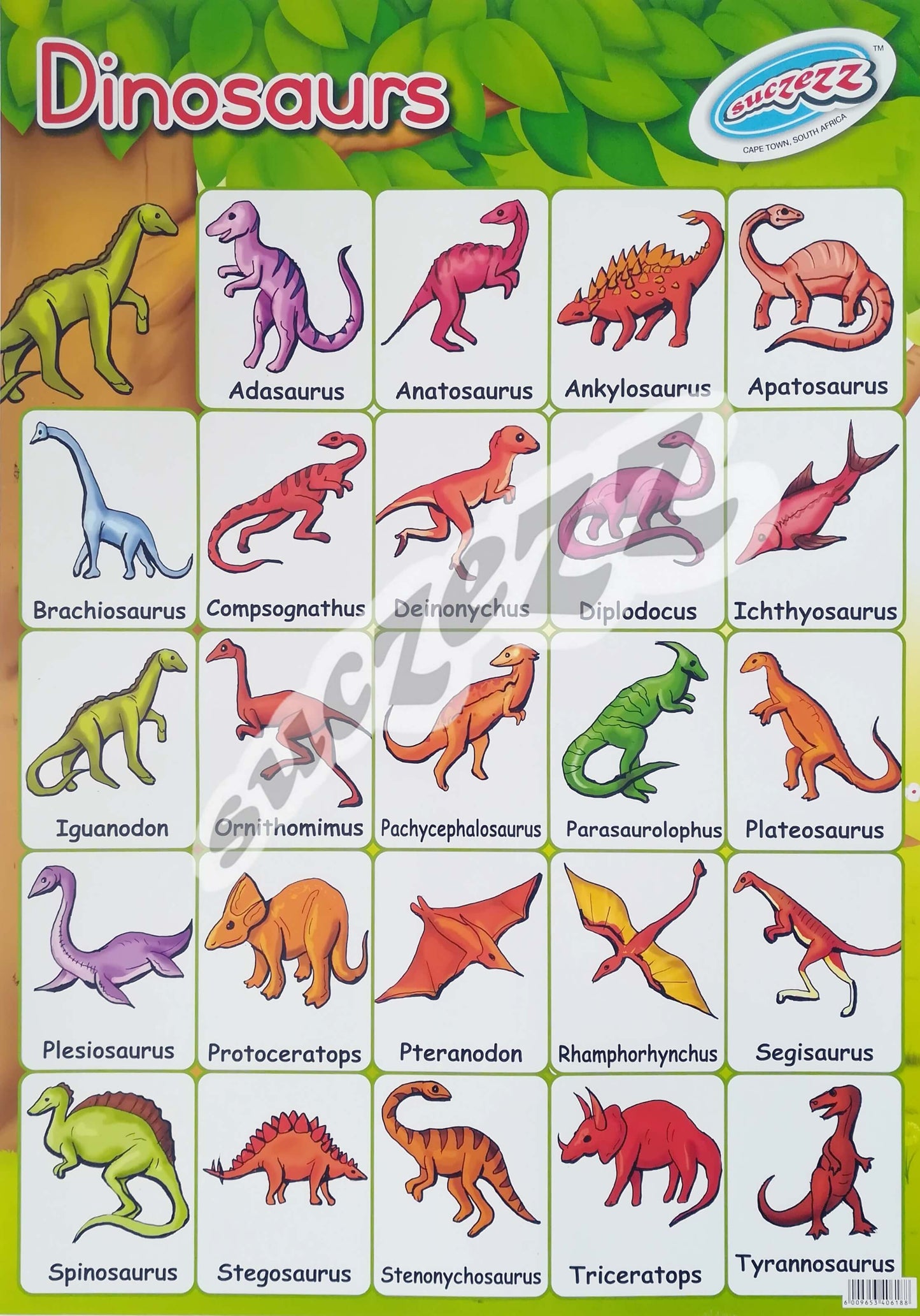 Muurkaart - Dinosourusse