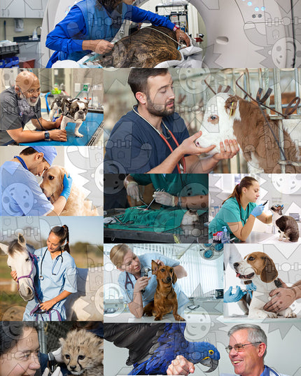 Veterinarian A3 Poster