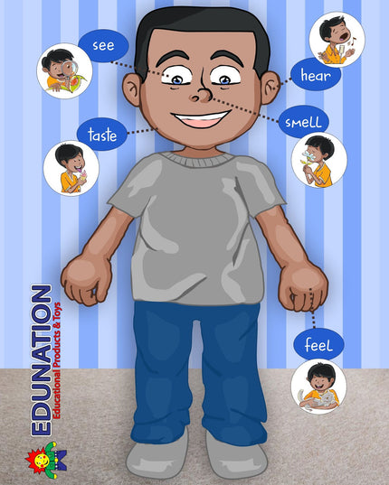 Wooden Puzzle Frame A4 - 12pc My Senses - Blue Edunation South Africa A4 Frame Puzzles