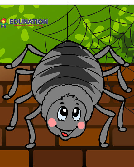 Wooden Puzzle Frame square - 9pc Spider Edunation South Africa Square Frame Puzzles