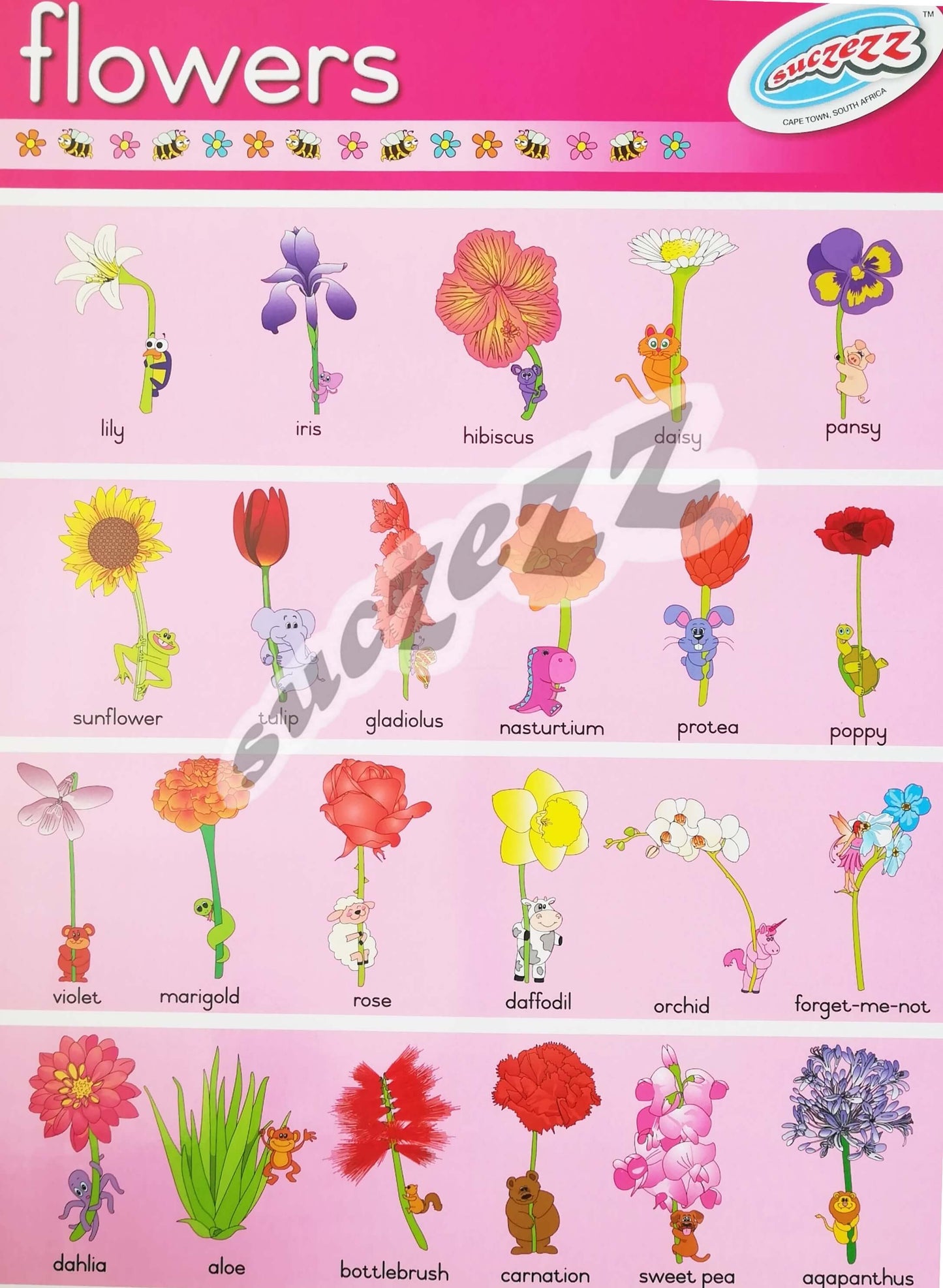 Poster - Flowers