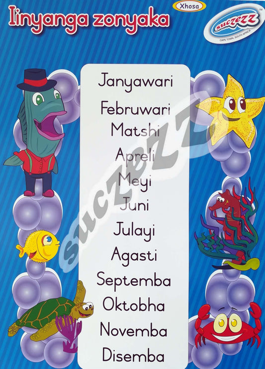 Poster - Iinyanga Zonyaka (Months of the year) - Xhosa