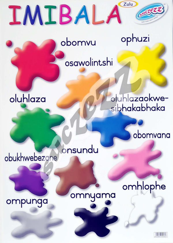 Poster - Imibala (Colours) - Zulu