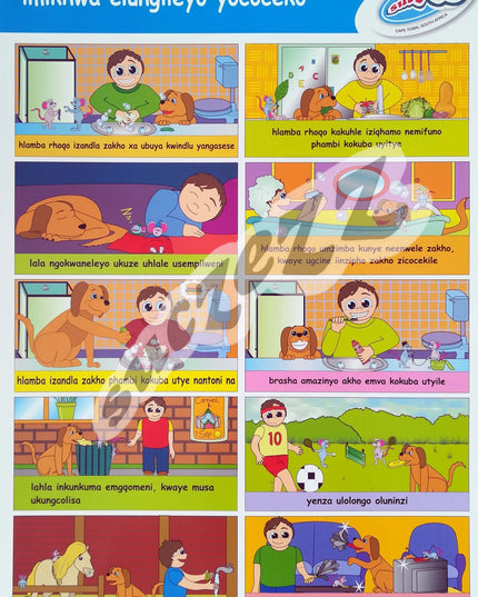 Poster - Imikhwa Elungieyo Yococeko (Good Hygiene Habits) - Xhosa