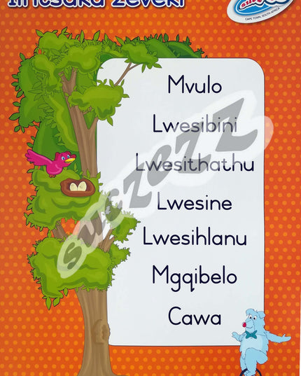 Poster - Iintsuku Zeveki (Days of the week) - Xhosa