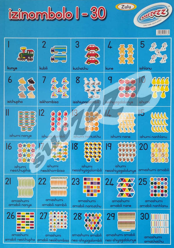 Poster - Izinombolo 1-30 (Numbers 1-30) - Zulu