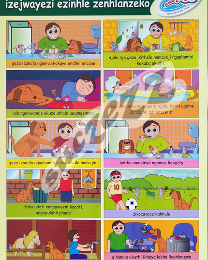 Poster - Izejwayezi Ezinhle Zenhlanzeko (Good Hygiene Habits) - Zulu