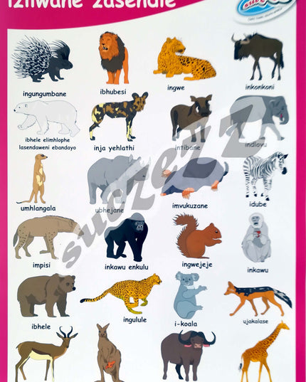 Poster - Izilwane Zasendle (Wild Animals) - Zulu