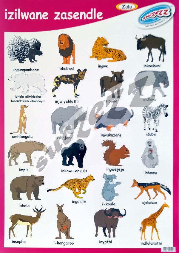Poster - Izilwane Zasendle (Wild Animals) - Zulu