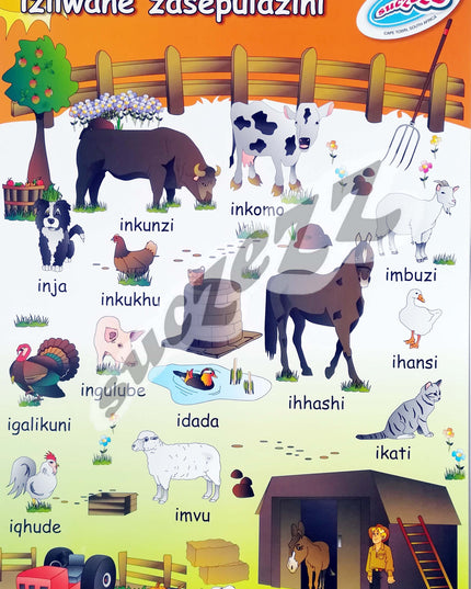 Poster - Izilwane Zasepulazine (Farm Animals) - Zulu