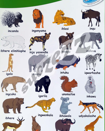 Poster - Izilwanyana Zasendle (Wild Animals) - Xhosa