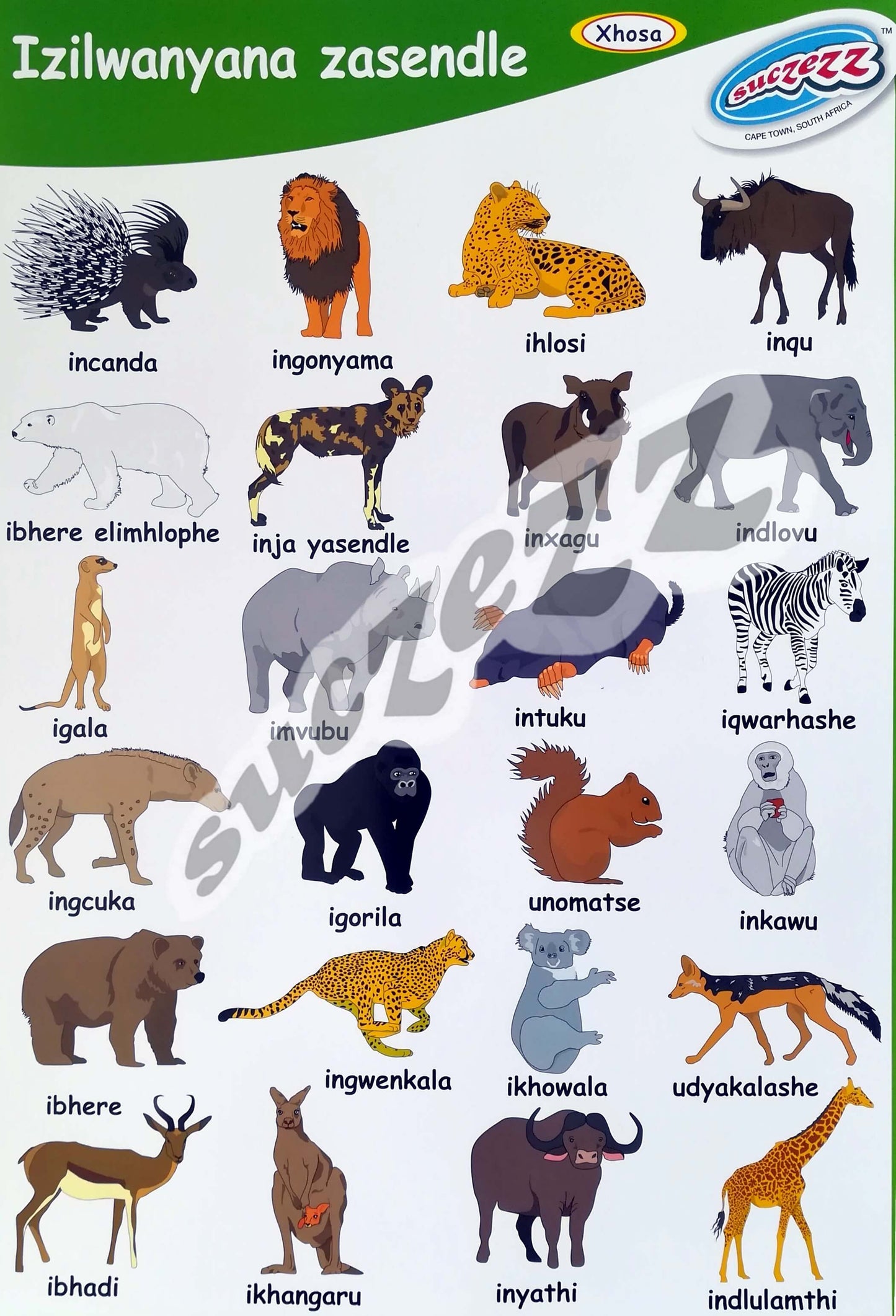 Poster - Izilwanyana Zasendle (Wild Animals) - Xhosa