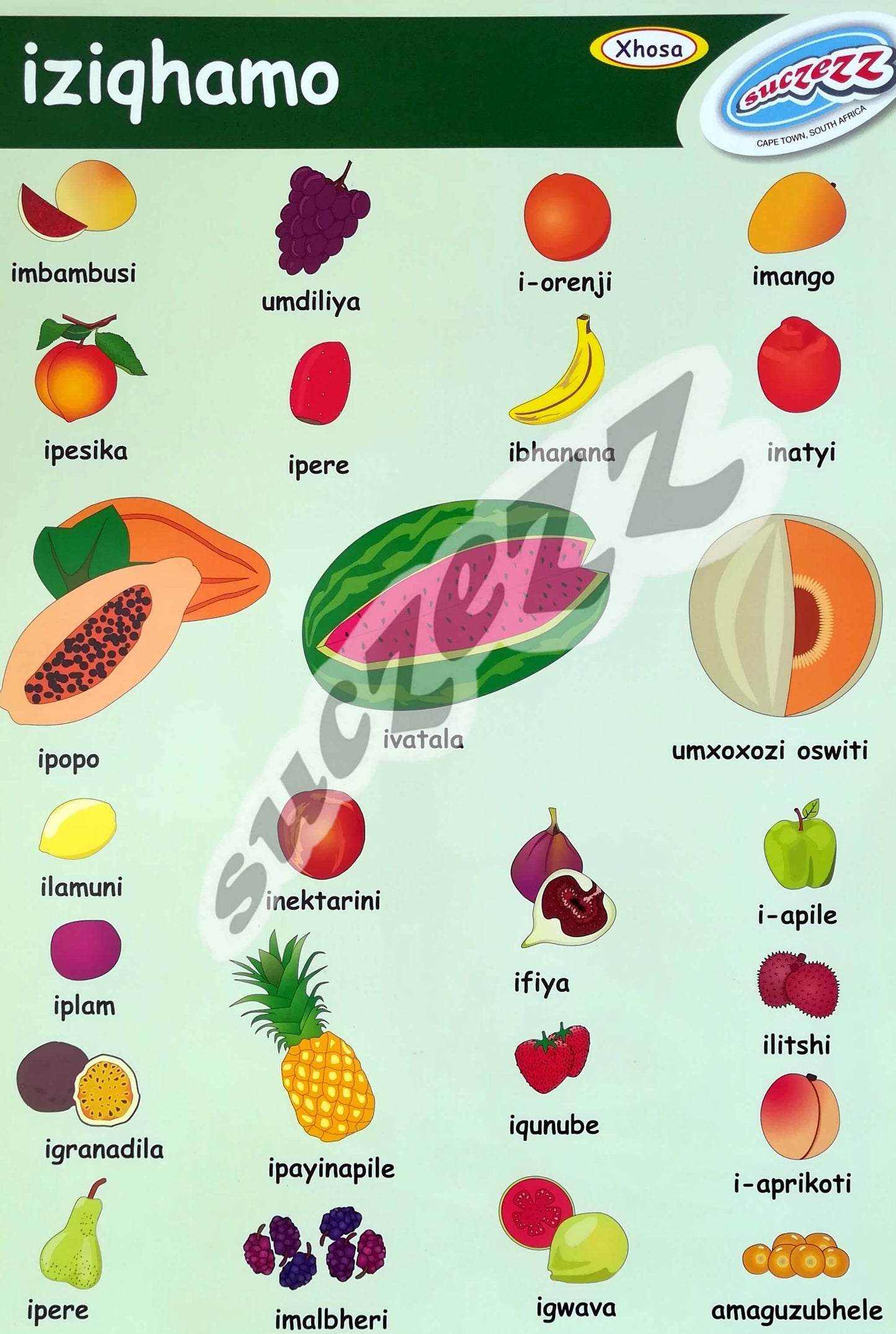Poster - Iziqhamo (Fruit) - Xhosa