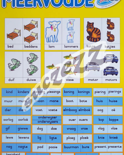 Muurkaart - Meervoude