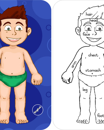 Wooden Puzzle Frame - Body Boy English