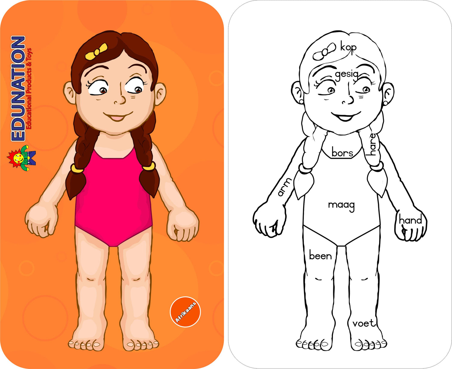 Wooden Puzzle Frame - Body Girl Afrikaans Edunation South Africa Body and Face Puzzles