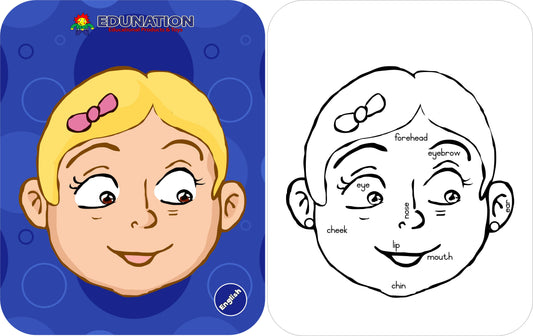 Wooden Puzzle Frame - Face Girl English Edunation South Africa Body and Face Puzzles