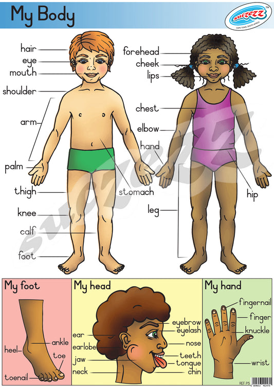 Poster - My Body