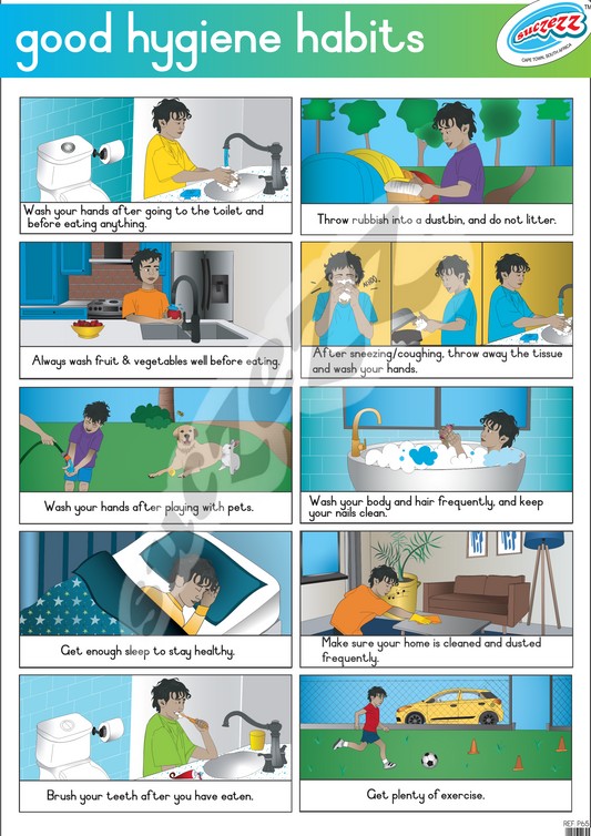 Poster - Good Hygiene habits