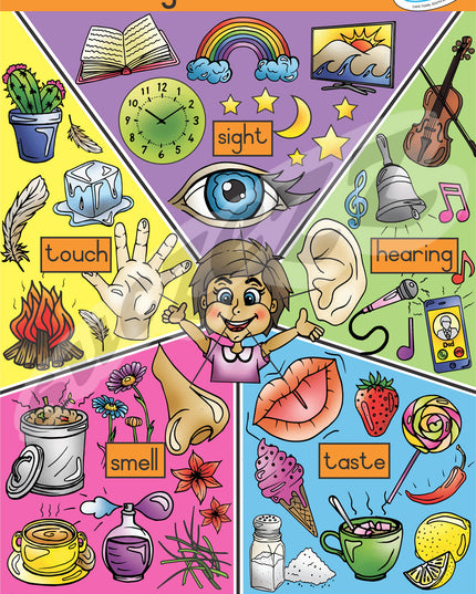 Poster - My Five Senses