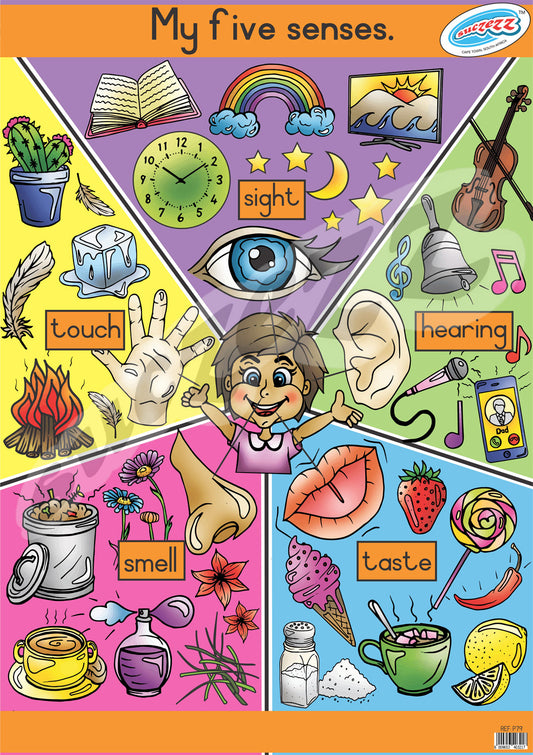 Poster - My Five Senses