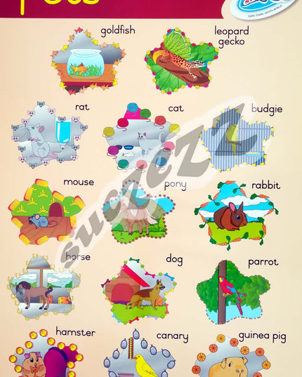 Poster - Pets