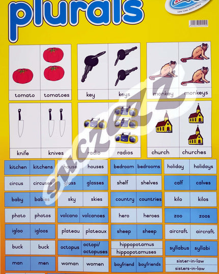 Poster - Plurals