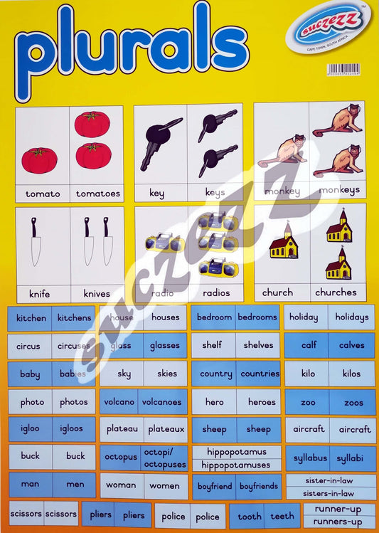Poster - Plurals
