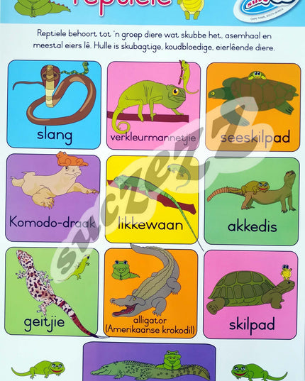 Muurkaart - Reptiele