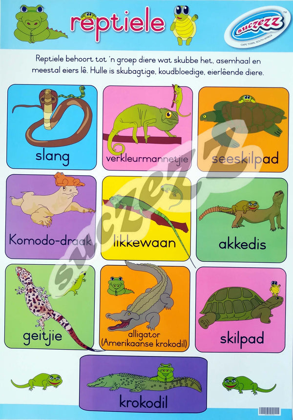 Muurkaart - Reptiele