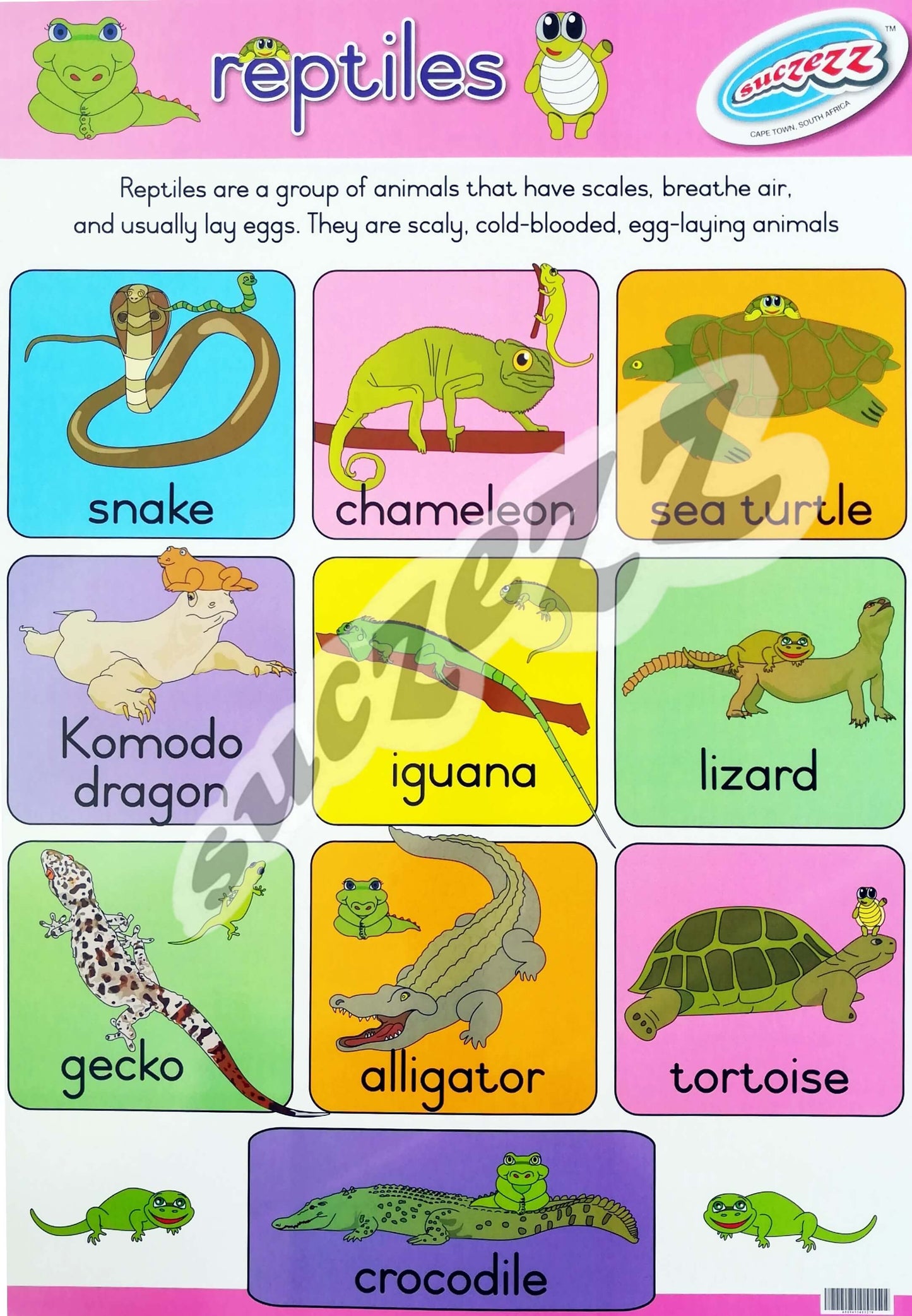 Poster - Reptiles