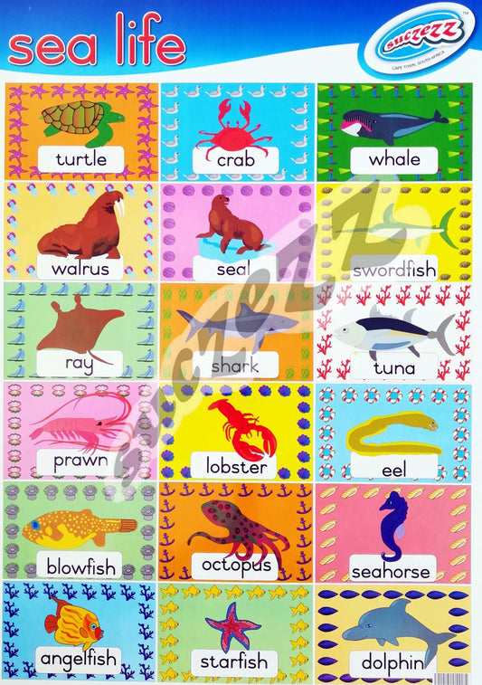 Poster - Sea Life