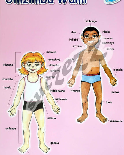 Poster - Umzimba Wami (My Body) - Zulu