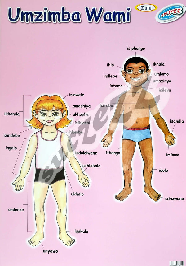 Poster - Umzimba Wami (My Body) - Zulu